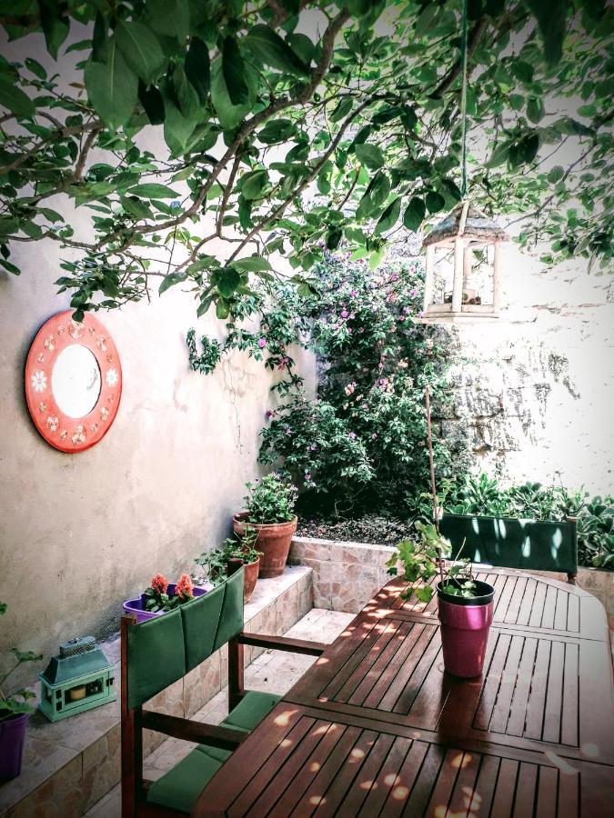 SaruleLa Collina Dei Ciliegi住宿加早餐旅馆 外观 照片