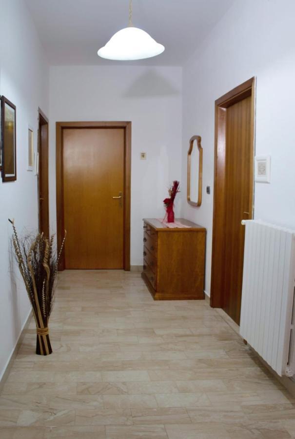 SaruleLa Collina Dei Ciliegi住宿加早餐旅馆 外观 照片