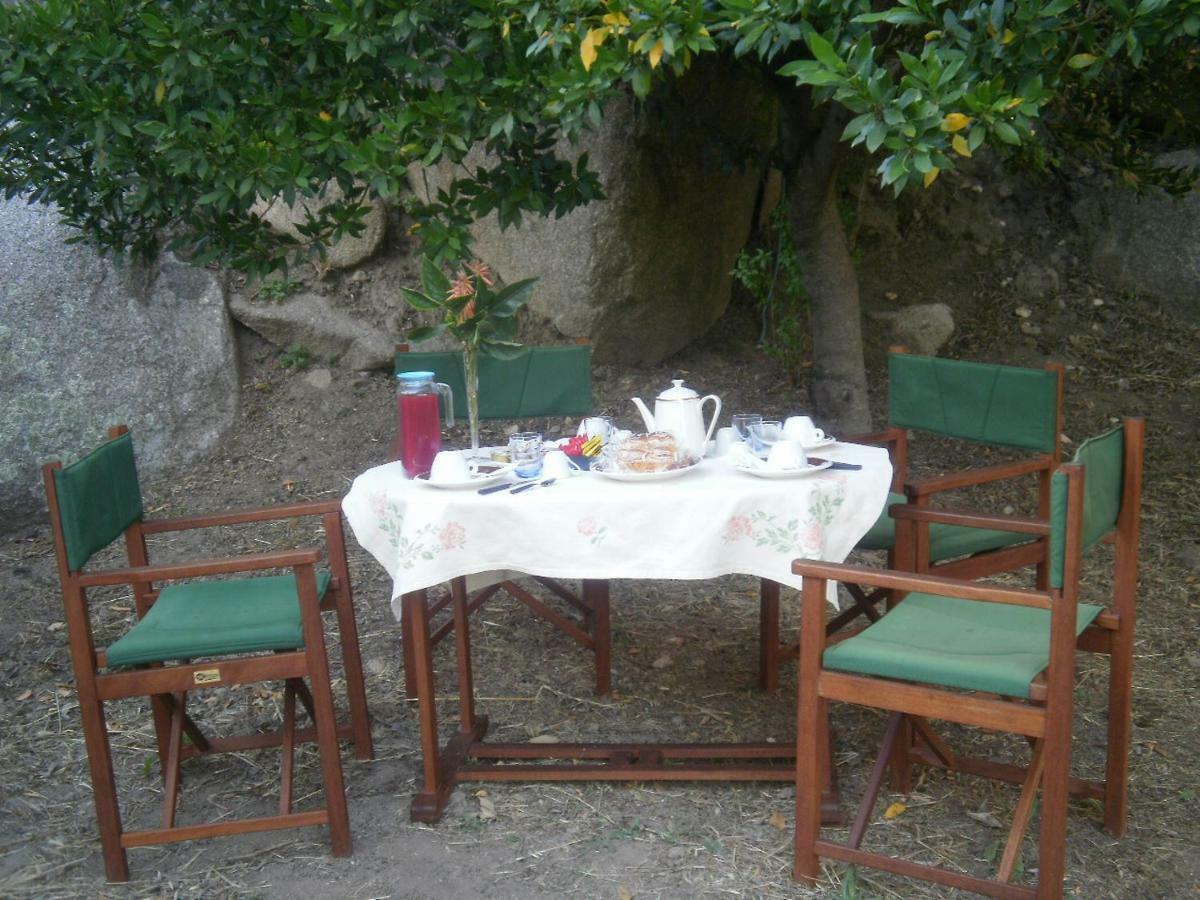 SaruleLa Collina Dei Ciliegi住宿加早餐旅馆 外观 照片