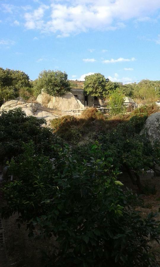 SaruleLa Collina Dei Ciliegi住宿加早餐旅馆 外观 照片