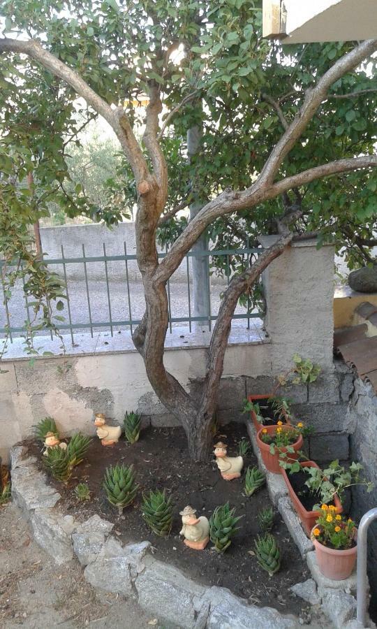 SaruleLa Collina Dei Ciliegi住宿加早餐旅馆 外观 照片