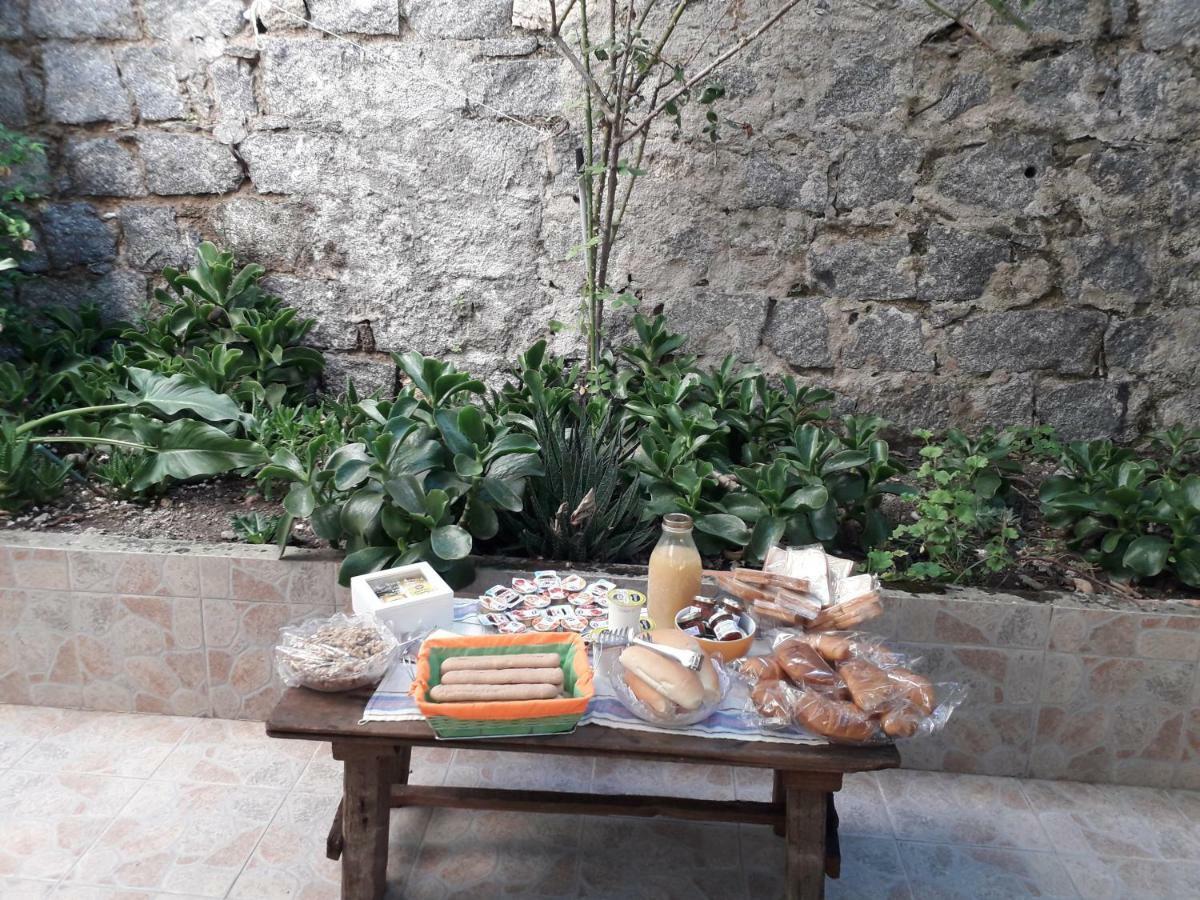 SaruleLa Collina Dei Ciliegi住宿加早餐旅馆 外观 照片