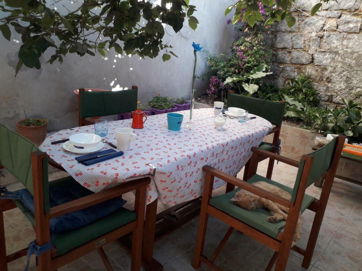 SaruleLa Collina Dei Ciliegi住宿加早餐旅馆 外观 照片